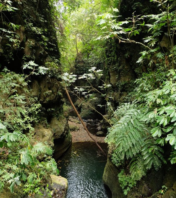 Tukad Api Canyon Canyoning bali